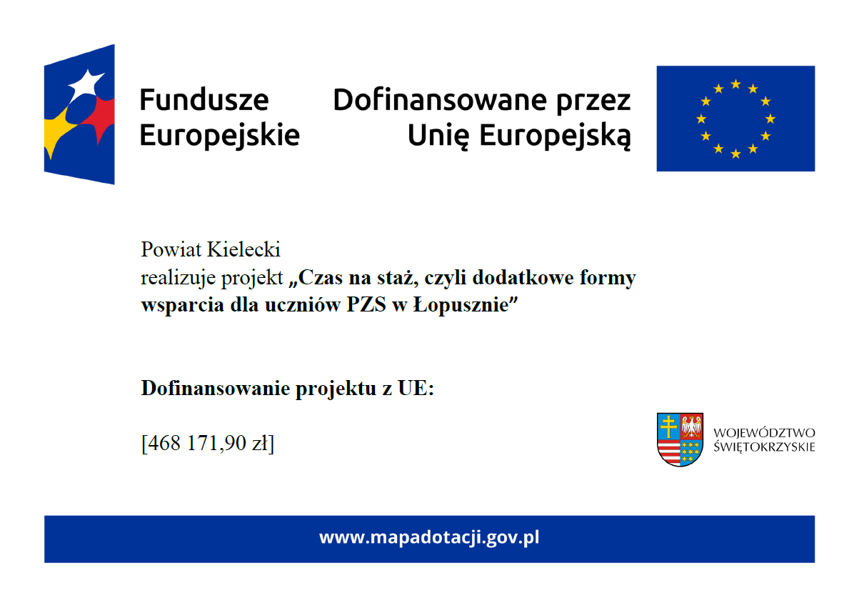 Czas na staż, czyli dodatkowe formy wsparcia dla uczniów PZS w Łopusznie