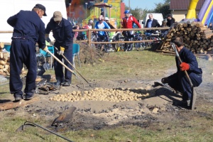 Wielkie pieczenie ziemniaków