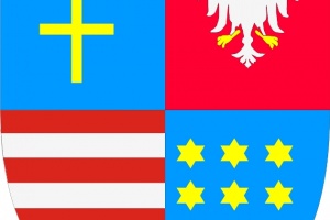 Starostowie o szkolnictwie