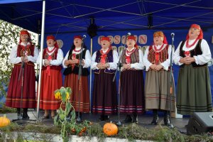 Festyn w Trzemosnej