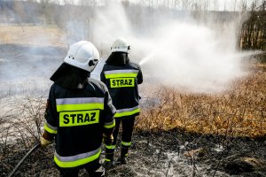 Stop pożarom traw
