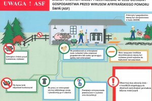 ASF - realne zagrożenie - informacja o chorobie