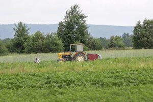 Najwięcej wypadków na wsi jest podczas żniw