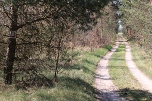 Rowerem przez powiat