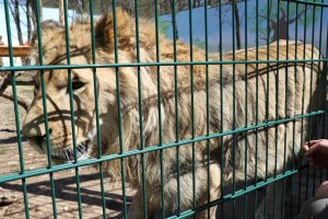 Jaskinia, zoo, muzeum. Kolejne miejsca dla turystów
