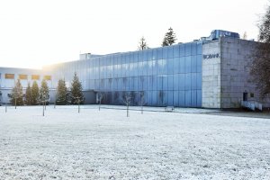 Sprawdzą poziom witaminy D