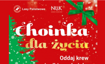 Choinki dla krwiodawców