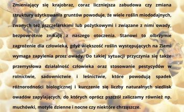 roboty drogowe