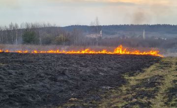 pożar traw