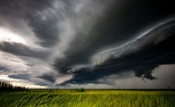 burza