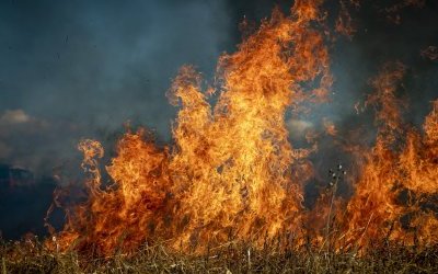 „STOP pożarom traw”- apelują świętokrzyscy strażacy
