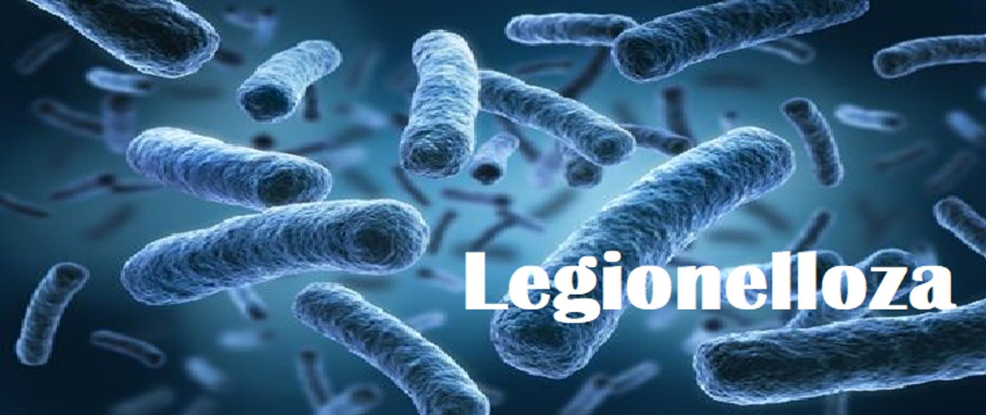 Uwaga na Legionellę!