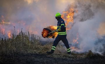 Stop pożarom traw