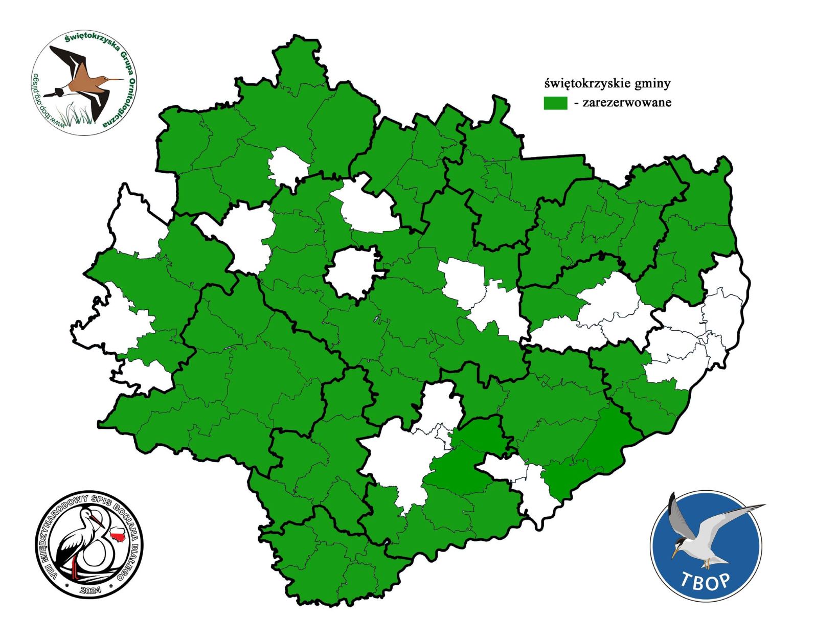 Poszukiwani wolontariusze do liczenia bocianów