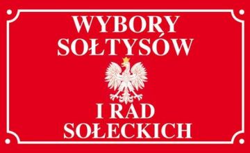 Wybory słotysów