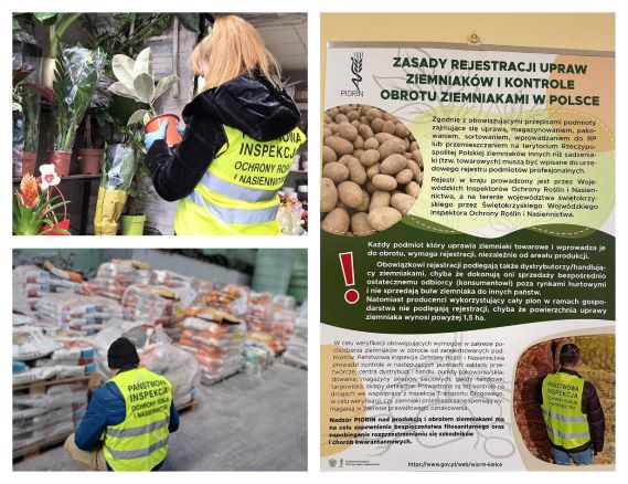 Podsumowanie pracy WIORiN