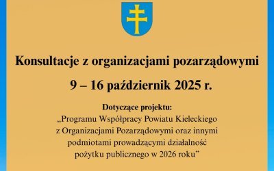 Konsultacje z organizacjami pozarządowymi