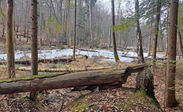 „Uroczysko Tumlińskie”- nowy rezerwat przyrody