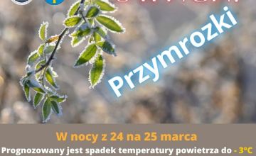Temperatura może spaść do -6 st.C.