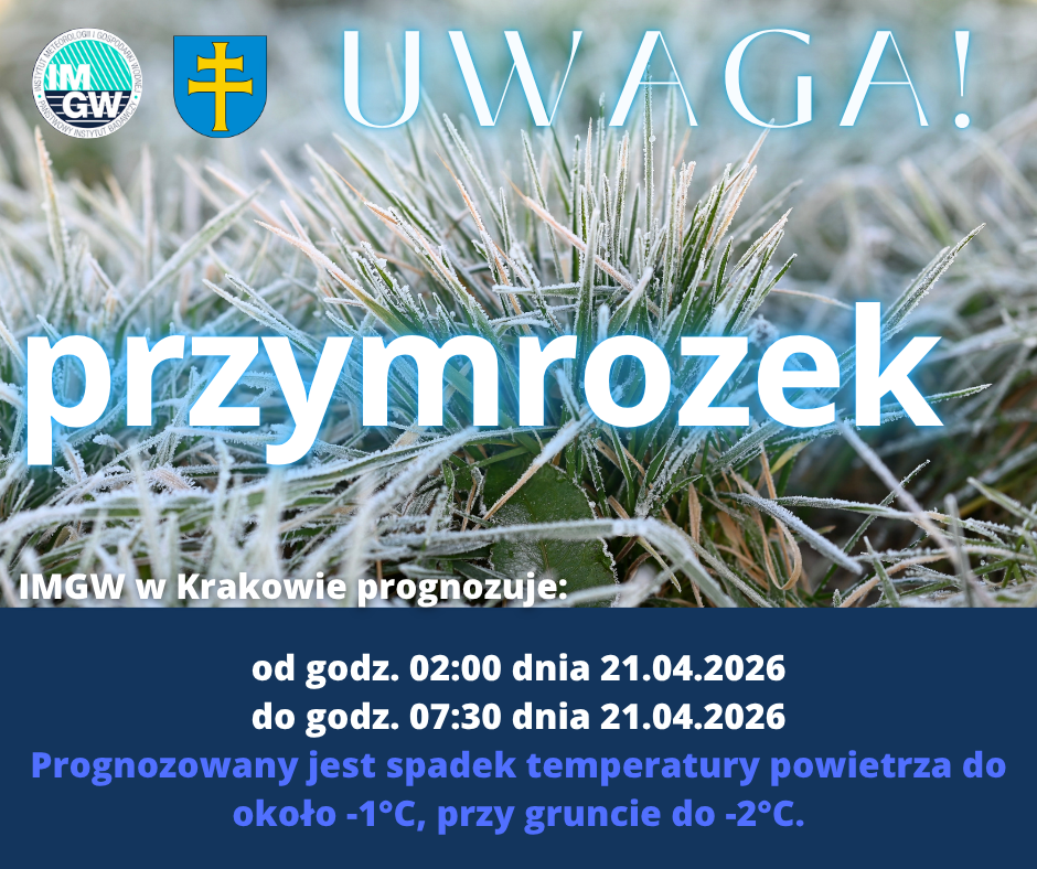 Uwaga! Tej nocy czekają nas przymrozki.