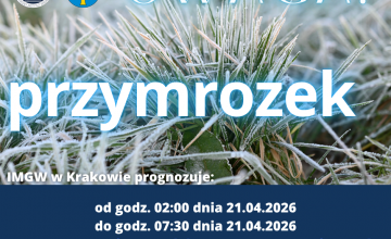 Uwaga! Tej nocy czekają nas przymrozki

