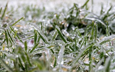 Ostrzeżenie meteorologiczne - przymrozki