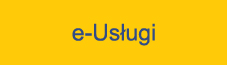 e-usługi