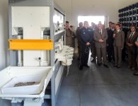 Kontenerowa szkółka leśna w Sukowie-Papierni
