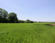 Podpisanie umowy na budowę nowego budynku ZSP nr 5 w Łopusznie