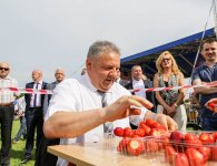 20. Dzień Świętokrzyskiej Truskawki w Bielinach