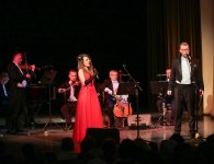 Salonowa Orkiestra Camerata wystąpiła w WDK