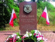  Książka 