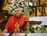 Święto w  parafii św. Jakuba Apostoła w Sędziejowicach