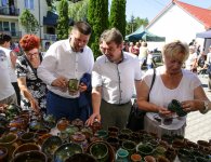 Chałupkowe Garcynki