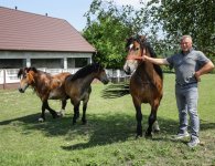 Poznajmy starostów dożynek