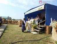 Dożynki Gminne 2017 w Górkach