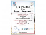 XVII Świętokrzyskie Dożynki Wojewódzkie na lotnisku w Masłowie