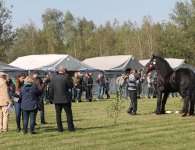 Miłośnicy koni zebrali się w Woli Łagowskiej