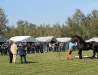Miłośnicy koni zebrali się w Woli Łagowskiej