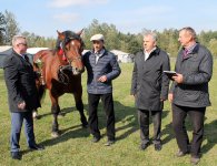 Miłośnicy koni zebrali się w Woli Łagowskiej