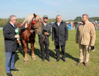 Miłośnicy koni zebrali się w Woli Łagowskiej