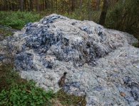 Porzucone odpady zwierzęce w gminie Morawica