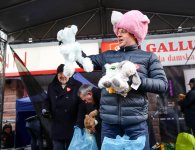 Powiatowa scena WOŚP 2018