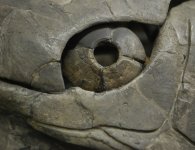 Wielkie odkrycie geologiczne w gminie Łagów-kolejne w naszym regionie