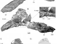 Wielkie odkrycie geologiczne w gminie Łagów-kolejne w naszym regionie