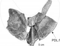 Wielkie odkrycie geologiczne w gminie Łagów-kolejne w naszym regionie