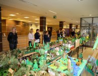 Znamy laureatów konkursu ekologicznego pt. „Tajemnice lasu”