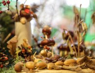 Znamy laureatów konkursu ekologicznego pt. „Tajemnice lasu”