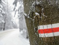 Atrakcje turystyczne