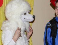 Obchody Dnia Kobiet w Śladkowie Małym